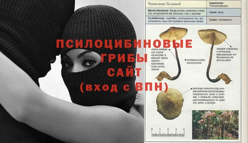 Псилоцибиновые грибы Magic Shrooms  нарко площадка официальный сайт  Алексеевка 